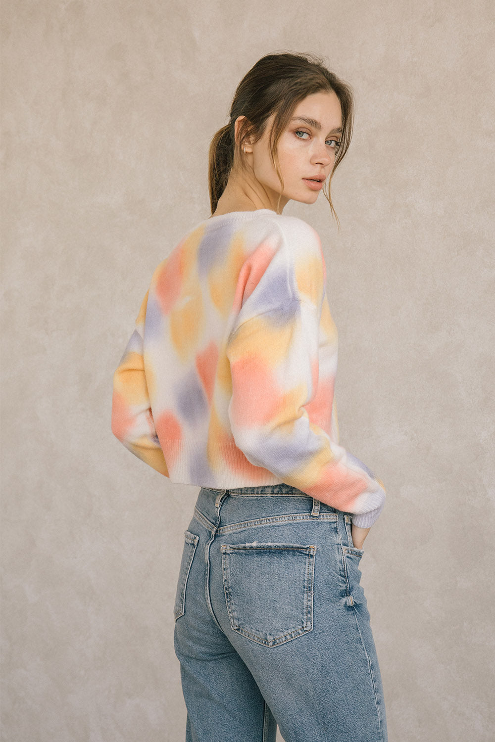 Betsy Pastel Rainbow Cropped Sweater Back