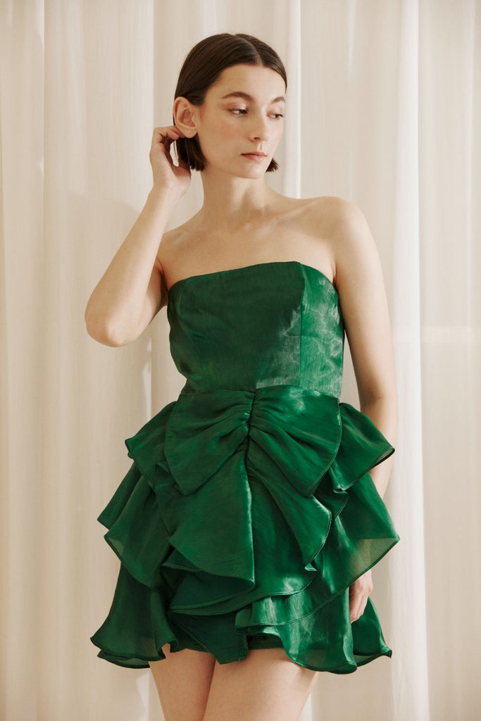 Elsa Green Strapless Dress Front